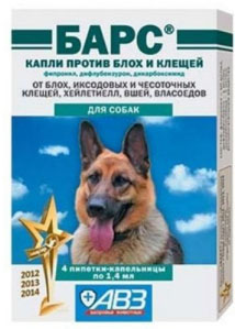 Барс