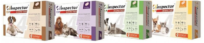Inspector Quadro Tabs