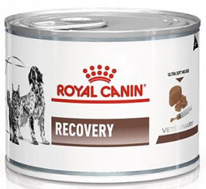 Royal Canin Recovery