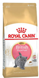 Royal Canin British Shorthair Kitten